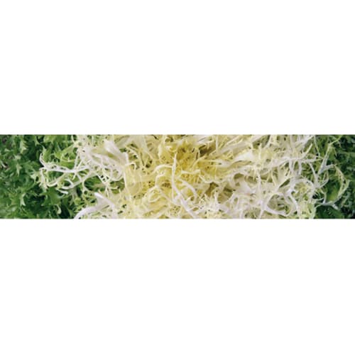 Une déco colorée grâce à nos stickers en forme de papier peint Salade Frisée ! Sticker mural Salade frisée