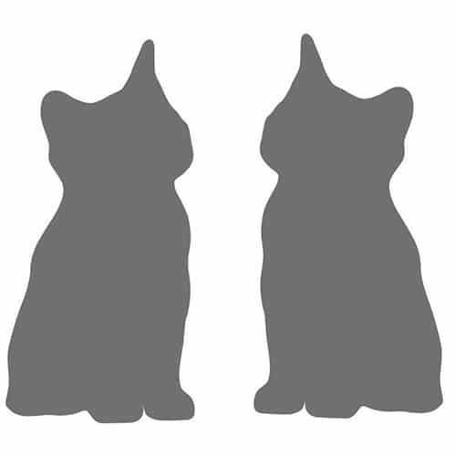 Sticker ardoise tableau noir Chatons ! Sticker ardoise tableau noir Chatons prêt à coller