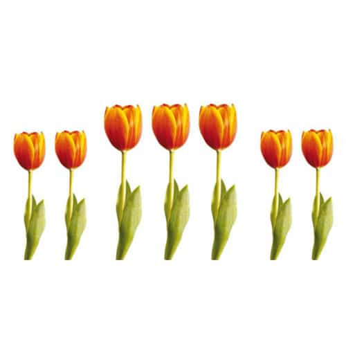 Sticker Tulipes Orange ! Autocollant de fleurs Tulipes Orange