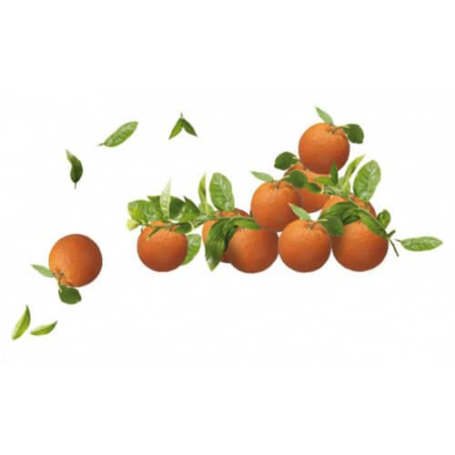 Une déco aux saveurs du monde avec nos stickers Oranges ! mis en ambiance, 1ère proposition Sticker adhésif Clémentines