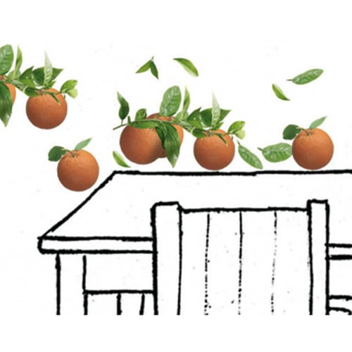 Une déco aux saveurs du monde avec nos stickers Oranges ! mis en ambiance, 2ème proposition Stickers autocollants clémentines