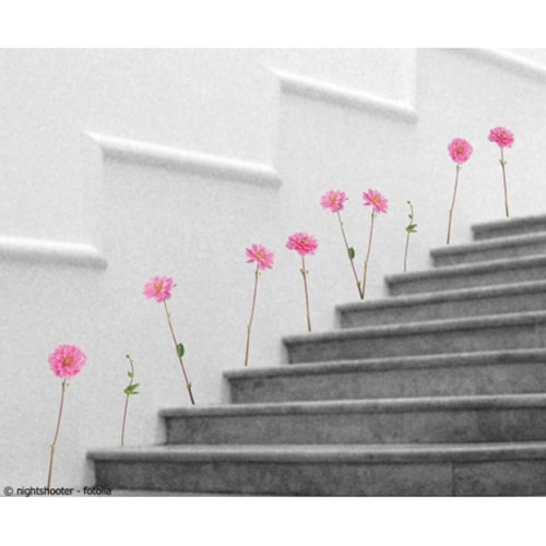 Sticker Petits Dahlias mis en ambiance, 2ème proposition Sticker décoratif Petits Dahlias
