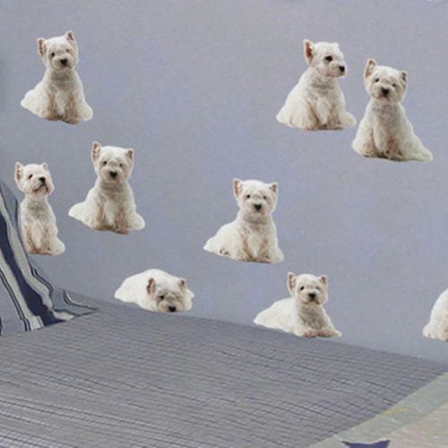 Une ambiance personnalisée chez vous avec un sticker Petits Chiens Blancs ! mis en ambiance, 2ème proposition Frise murale adhésive, stickers chiens