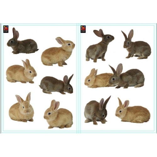 Créez une écrin de verdure avec le sticker Petits Lapins ! mis en ambiance, 2ème proposition Adhésif de photos de Petits Lapins à positionner au mur