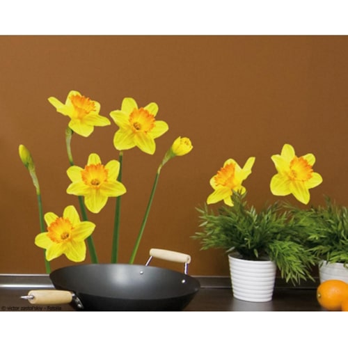 Créez une écrin de verdure avec le sticker Petites Jonquilles ! mis en ambiance, 1ère proposition Sticker Petites Jonquilles dans une cuisine