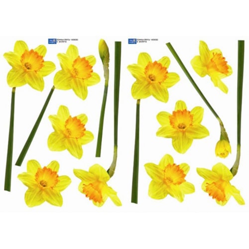 Créez une écrin de verdure avec le sticker Petites Jonquilles ! mis en ambiance, 4ème proposition Sticker fleur Jonquilles
