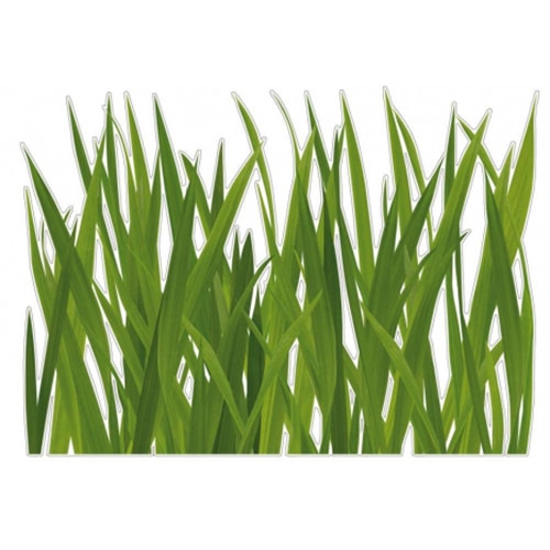 Offrez une touche d'air frais avec nos stickers Fausse Herbe ! Sticker fausses herbes vertes pour déco maison