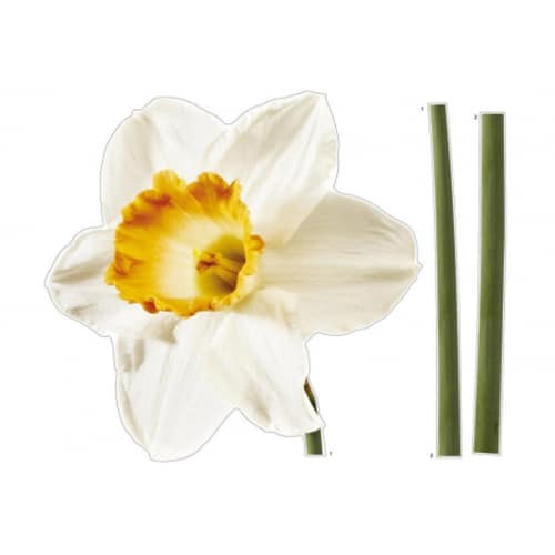 Créez une écrin de verdure avec le sticker Grand Narcisse ! mis en ambiance, 2ème proposition Sticker fleur géante Grand Narcisse