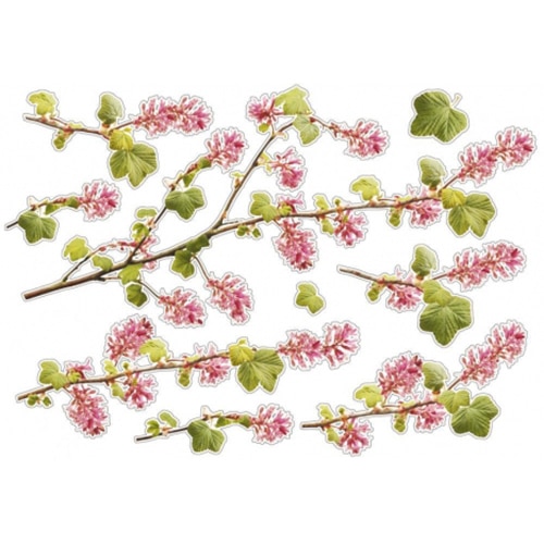 Sticker Branches de Groseillier Sauvage ! Lot d'autocollant Branches de Groseillier Sauvage