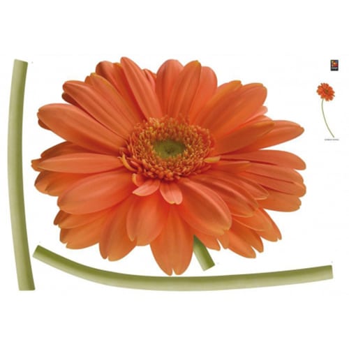 Créez une écrin de verdure avec le sticker Gerbera Orangée ! mis en ambiance, 2ème proposition Sticker géant de fleur Gerbera Orangée