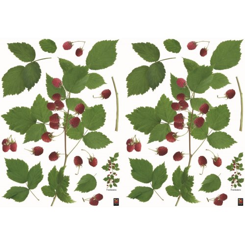 Set de sticker framboisiers - déco nature framboises rose et vert Ensemble de décoration murale adhésive pour cuisine ou salon avec branches de framboisier