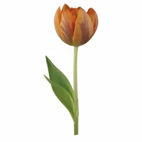 Sticker Tulipe Orange pour décoration intérieur