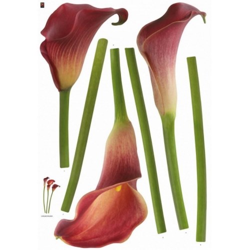 Pack déco de stickers fleurs arum rouge Pack déco de 3 stickers fleur d'arum rouge.