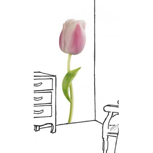 Créez une écrin de verdure avec le sticker Tulipe Rose ! mis en ambiance, 1ère proposition Sticker Tulipe Rose géante collé au mur