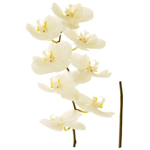 Stickers fleur géantes orchidée blanche déco adhésive