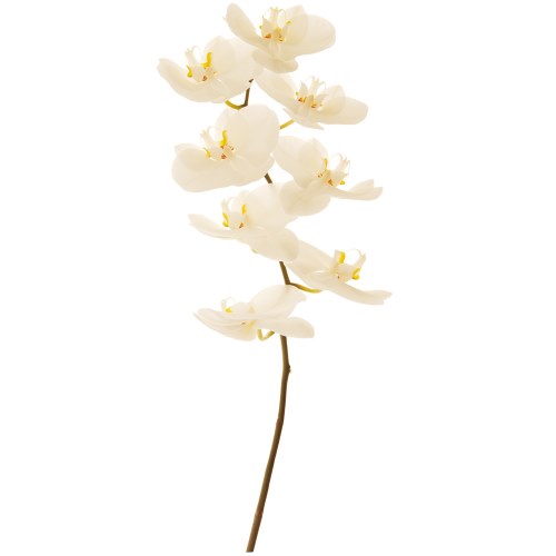 Sticker déco adhésive orchidée blanche Sticker mural fleur - adhésif géant fleur d'orhcidéé blanche