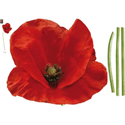 Créez une écrin de verdure avec le sticker Coquelicots ! mis en ambiance, 4ème proposition Sticker géant de fleur de Coquelicots