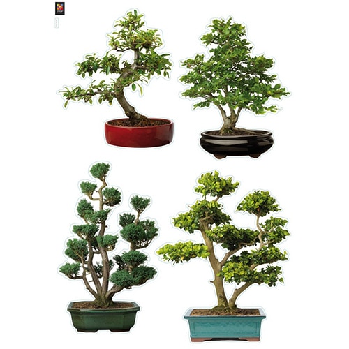 A l'aventure avec notre sticker Bonsaïs du Japon dans un style très zen Sticker autocollant Bonsaïs vert du Japon style très zen