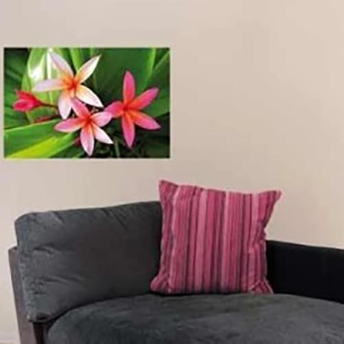 Créez une écrin de verdure avec le sticker Lauriers Roses ! mis en ambiance, 1ère proposition Sticker adhésif Lauriers Roses