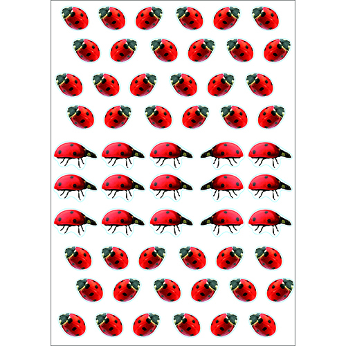 stickers coccinelles électrostatiques pour vitres et surfaces vitrées