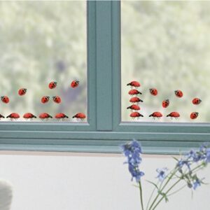 stickers de vitres déco électrostatique Coccinelles rouges sur une vitre