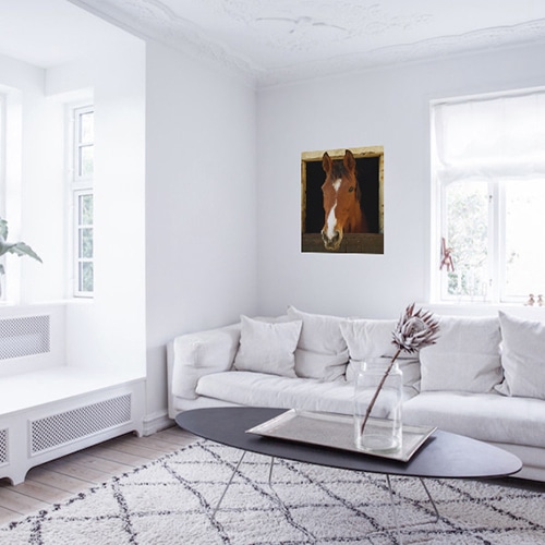 sticker Cheval et box dans un salon blanc