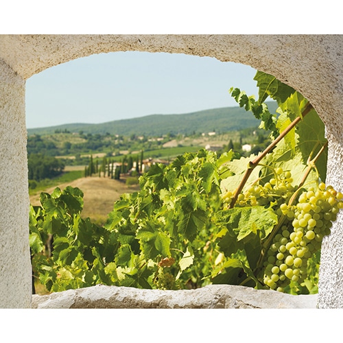 Fausse fenêtre adhésive en trompe-l'oeil offrant de la perspective à votre pièce et une vue sur un paysage de Toscane en Italie.