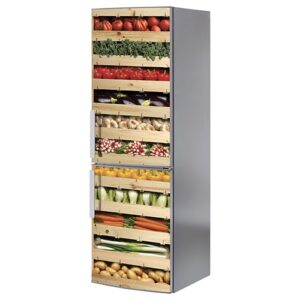 Adhésif autocollant sticker pour frigo taille classique avec légumes divers