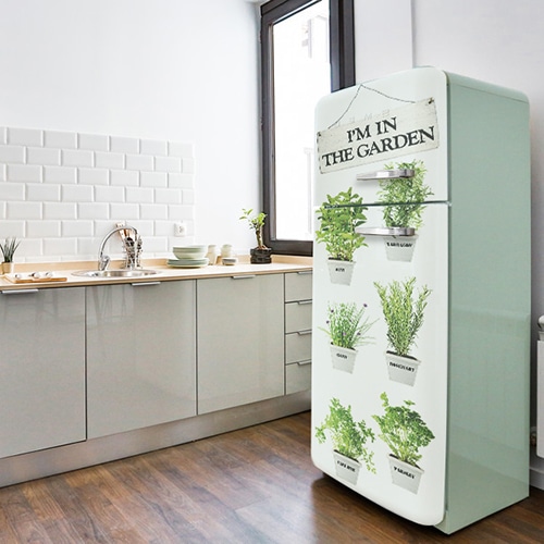 Autocollants Herbes fraiches sur frigo vert pâle