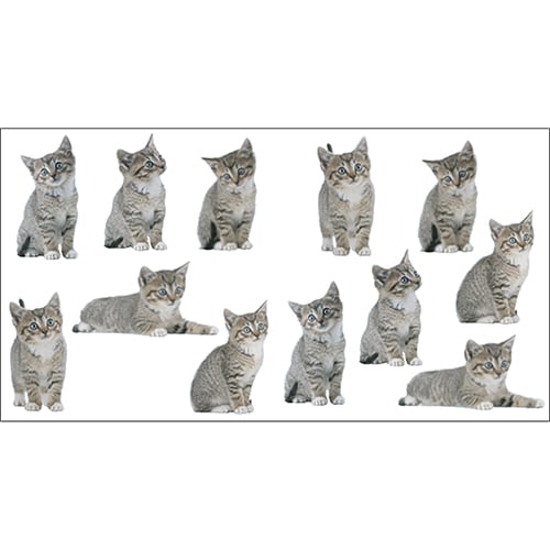 Stickers muraux petits chatons
