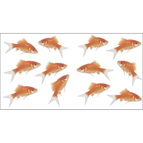 Stickers muraux Poissons rouges