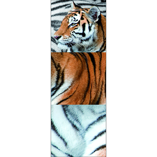 Sticker d'un grand tigre en trois partie