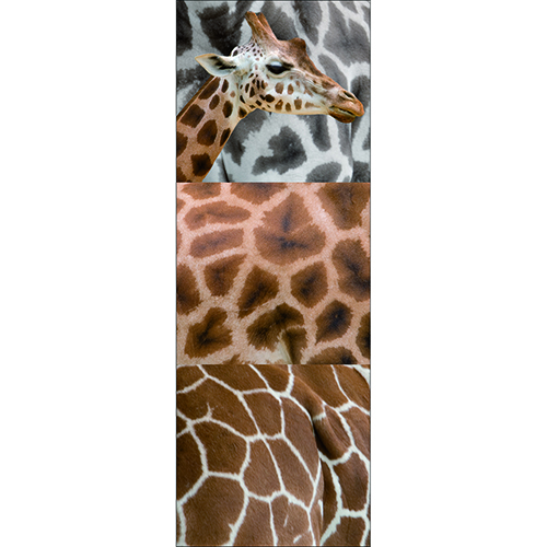 Planche adhésive girafe à coller