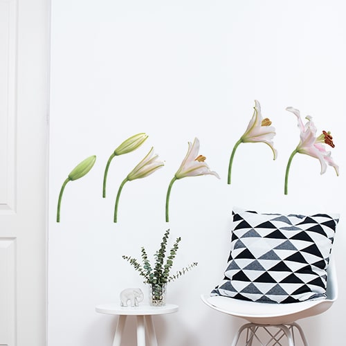 Stickers autocollants fleurs sur mur blanc