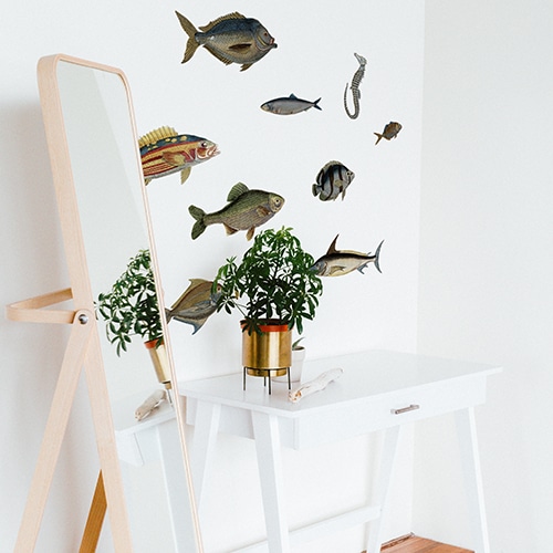 Stickers autocollants Poissons au-dessus d'une table avec plante décorative et miroir