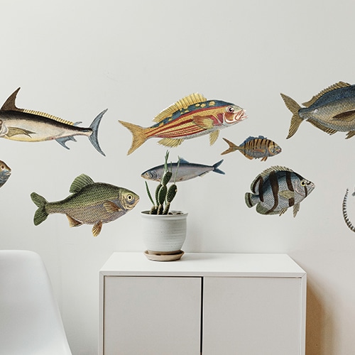 Sticker avec plusieurs poissons, maquereau, espadon dans un salon