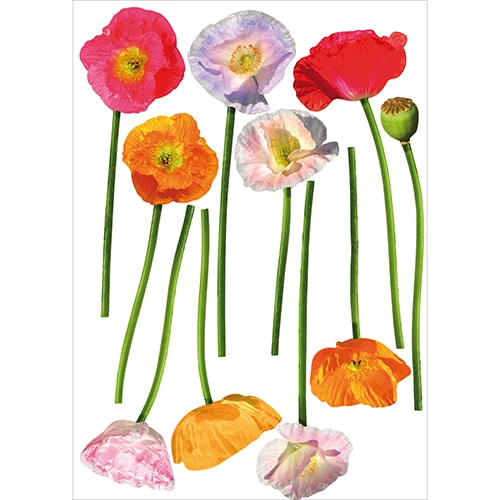 Lot de 9 Stickers Coquelicots Colorés à coller au mur