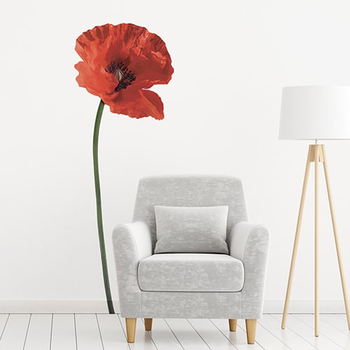 Idée décoration pour vitrine: autocollant fleurs de coquelicots géants