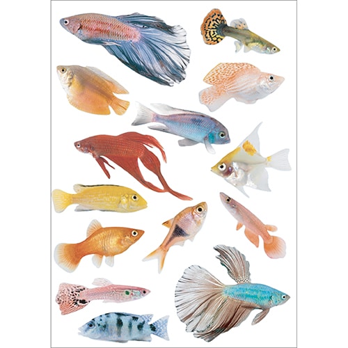 Autocollants poissons tropicaux à collé au mur