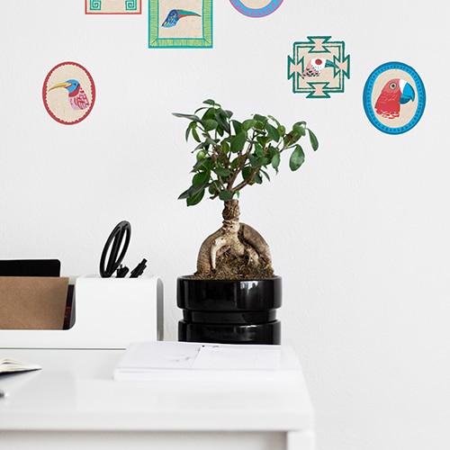 Stickers Oiseaux Exotiques Autocollants muraux style art déco d'Oiseaux Exotiques avec bonzai décoratif