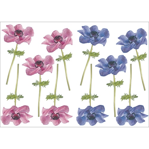 Lot de 10 Sticker Petites Anémones rose et bleue