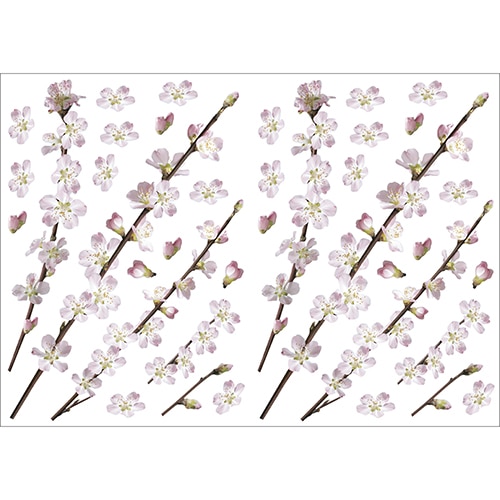 Lot de stickers Branches d'arbres en fleurs prêt à coller au mur