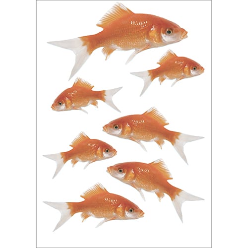 Lot de 7 Stickers poissons rouges