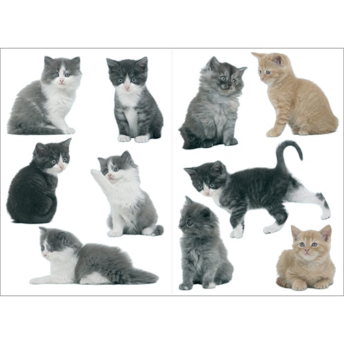 Set de 10 stickers de chatons à coller au mur