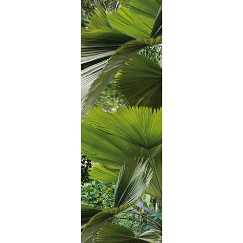 Sticker adhésifs pour électroménager Feuilles Tropicales