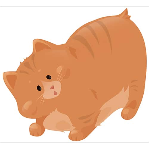 sticker gros chat orange pour enfants