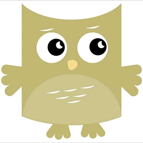 Sticker adhésif Hibou Vert pour enfants