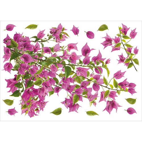 Sticker branches de bougainvillée rose