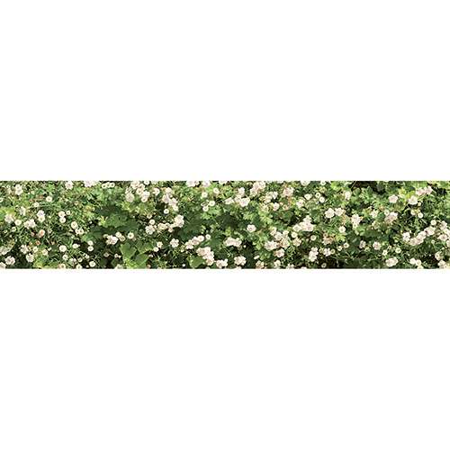 Sticker déco mur végétal de fleurs pour contremarches Adhésif mur végétal de fleurs pour décoration contremarches d'escalier en bois moderne mur blanc