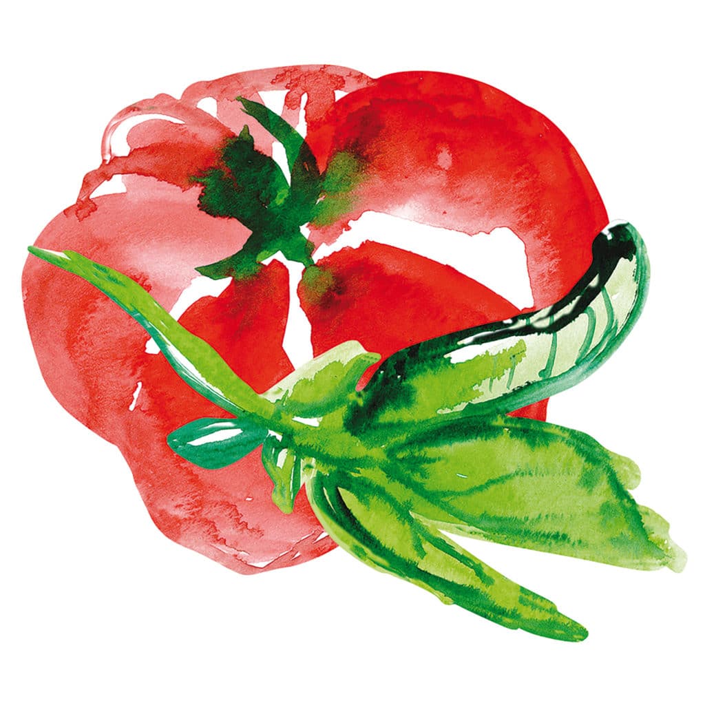 Sticker aquerelle tomate rouge pour carrelage cuisine